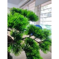 Cây Tùng bonsai nhân tạo