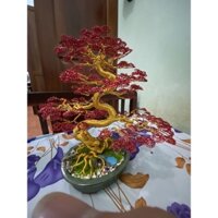 Cây Uốn dây nhôm bonsai