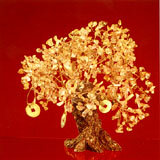 Cây Vàng Cây Bạc (CTCL11)