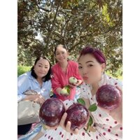 CÂY VÚ SỮA TÍM