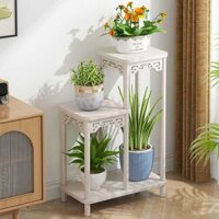 Cây Xanh Ban Công Giá Hoa Trong Nhà Giá Đặt Chậu Hoa Trong Phòng Khách Giá Đặt Chậu Cây Xanh