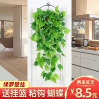 Cây xanh nhân tạo mới treo tường, cây xanh Chlorophytum, trang trí tường phòng khách ban công, giỏ treo hoa giả, dây leo lá xanh nhựa