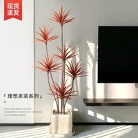 Cây xanh sang trọng cho phòng khách, cây huyết rồng, cây lô hội nhân tạo, cây trồng trong chậu, trang trí trong nhà, cây