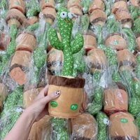 Cây xương rồng nhảy múa biết hát biết nhại