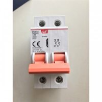 CB 2P 32A LS