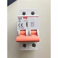 CB 2P 32A LS