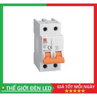 CB chống giật LS 2P - 10A, 16A, 20A, 25A, 32A, 40A, 63A HÀNG CHÍNH HÃNG