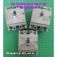 CB Chống Giật Nhật Bản 1 Pha 30A