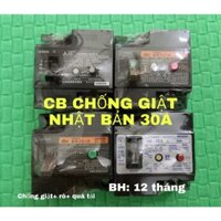 CB CHỐNG GIẬT NHẬT BẢN 30A 1PHA 2 CỰC