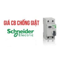 CB CHỐNG GIẬT SCHNEIDER,APTOMAT CHỐNG GIÂT,CẦU DAO CHỐNG RÒ...