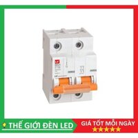 CB LS 2 Pha 80A,100A, 125A chính hãng