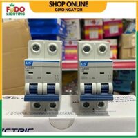 CB LS 2P 10A, 16A, 20A, 25A, 32A, 40A, 50A, 63A hàng chính hãng