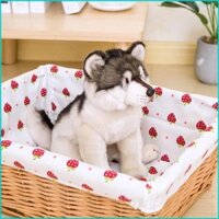 Cby cho Sói Xám Bắc Mỹ Đồ Chơi Sang Trọng Mô Phỏng Thú Nhồi Bông Búp Bê Sang Trọng