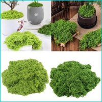 Cby Cỏ giả rêu nhân tạo để trang trí sân vườn 150g Rêu xanh giả cho bàn trồng cây trong chậu
