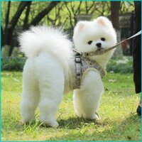 Cby Dây Xích Chó Mèo Dây Xích Mèo Đi Bộ Dây Xích Mèo Cho Mèo Lớn Kéo