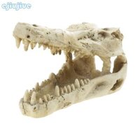 Cc Đồ trang trí bằng nhựa bể cá Betta Hideout Alligator Skull Cave cho cua ẩn sĩ