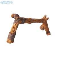Cc Thằn lằn Terrarium Phong cảnh rừng mưa Mô phỏng môi trường Leo núi thú cưng