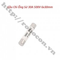 CC41 Cầu Chì Ống Sứ 30A 500V 6x30mm