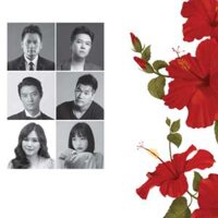 CD gốc Album Lối Cũ Ta Về