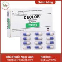 Ceclor 250mg Menarini