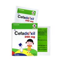 Cefadroxil 250mg Domesco
