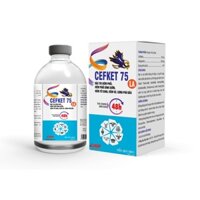 CEFKET 75 LA - ĐẶC TRỊ VIÊM PHỔI, VIÊM PHỔI DÍNH SƯỜN, VIÊM TỬ CUNG, VIÊM VÚ, SƯNG PHÙ ĐẦU TÁC DỤNG