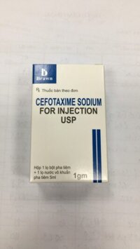 Cefotaxime Sodium For Injection USP Brawn  SL 100 HỘP