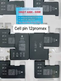 cell pin Iphone 12 Pro Max