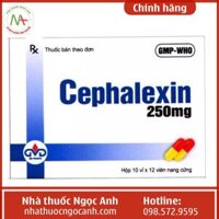 Cephalexin 250mg Minh Dân