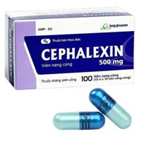 CEPHALEXIN 500 - Thuốc điều trị kí sinh trùng, chống nhiễm khuẩn (hộp 10 vỉ x 10 viên)