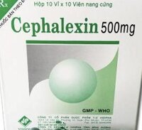 Cephalexin 500mg Vidipha H/100 viên