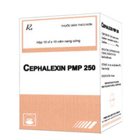 Cephalexin PMP 250 điều trị nhiễm khuẩn đường hô hấp, nhiễm khuẩn tai mũi họng