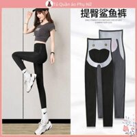 Ch t L Ng cao Qu N Quần Legging Co Gi N N N P Yoga Cá Mập Lưng cao Ôm Bụng Phong Cách Xuân Thu Cho Nữ