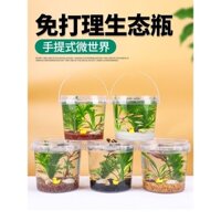 Chai mới thân thiện với môi trường, cảnh quan vi mô DIY, cá nhỏ cầm tay bằng nhựa, nước ngọt, nước lạnh, cá cảnh, tôm, ốc, thực vật thủy sinh thật, trường học sống