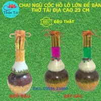 Chai ngũ cốc phong thủy chiêu tài lộc 23 cm( chai thủy tinh hồ lô lớn)