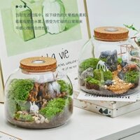 Chai sinh thái không gian có đèn nút chai thủy tinh chai núi lửa trong suốt thủy canh nhiều thịt rêu vi phong cảnh chai để bàn bể cá sinh thái chai rỗng