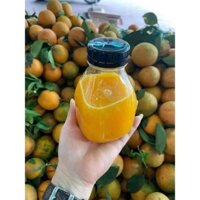 Chai Thủy Tinh Vuông Lùn sét 10 lọ