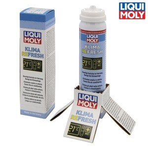 Chai xịt khử mùi và khử trùng máy lạnh Liqui Moly 20000