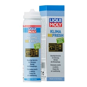 Chai xịt khử mùi và khử trùng máy lạnh Liqui Moly 20000
