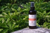 Chai Xịt Muỗi Bèo Tấm – Mosquito Repellent Spray