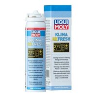 CHAI XỊT XÔNG KHỬ MÙI VÀ DIỆT KHUẨN ĐA DỤNG, DÀN LẠNH XE HƠI LIQUI MOLY KLIMA REFRESH 75ML 20000