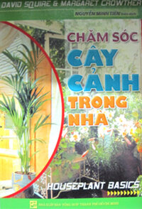 CHĂM SÓC CÂY CẢNH TRONG NHÀ