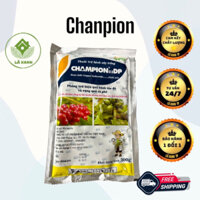 Champion DP