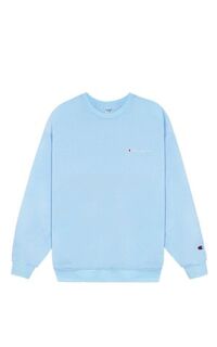 Champion Sweater In Blue