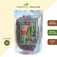 ChamSeed - ĐẬU COVE NÂU SỮA THÁI LAN - DALAT - 139 (SIÊU TRÁI, SIÊU NĂNG SUẤT) (1KG)