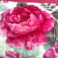 Chăn băng lông đẹp 5kg