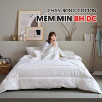 Chăn bông cotton 8H DC – Chất liệu cao cấp, kháng khuẩn, mềm mịn