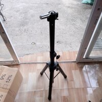 Chân canh to đẹp