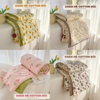 Chăn cotton đũi Hàn Quốc, chăn sơ đậu nành chuẩn nội địa trung