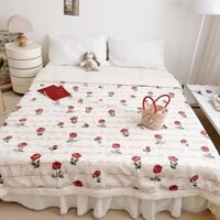 Chăn Cừu Hoạ Tiết Cute Hàn Quốc Lồng Ruột